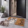 Personalized Pet Portrait Doormat, Custom Dog Name, Funny Hello Mat